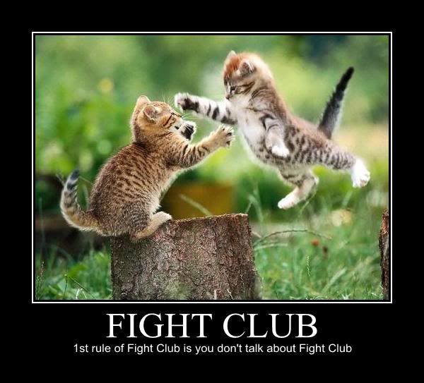 fight-club.jpg