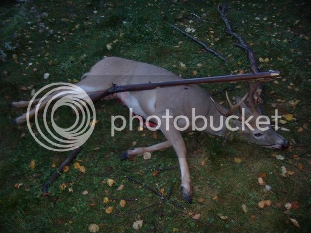 deer10-22-123.jpg