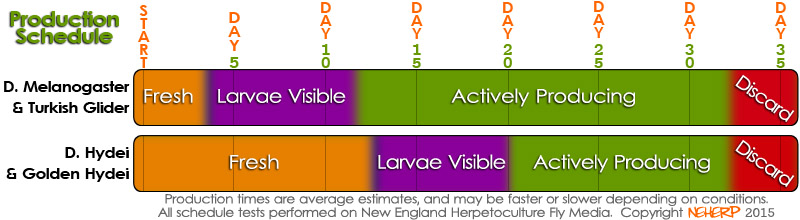 fruitflyproductionchart.jpg