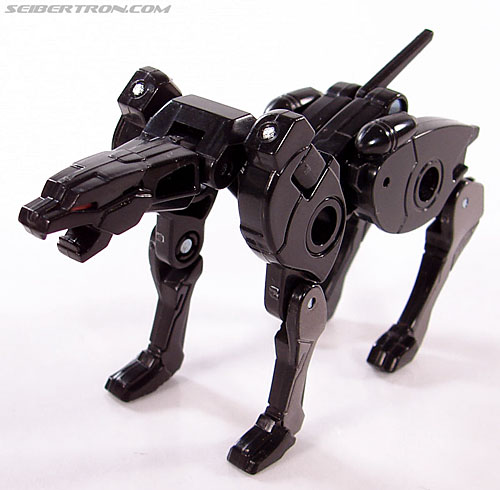 r_ravage2008058.jpg