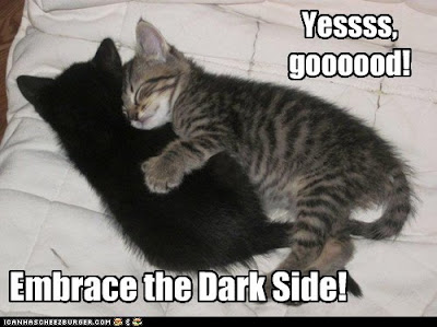 lolcat-embrace-dark-side.jpg