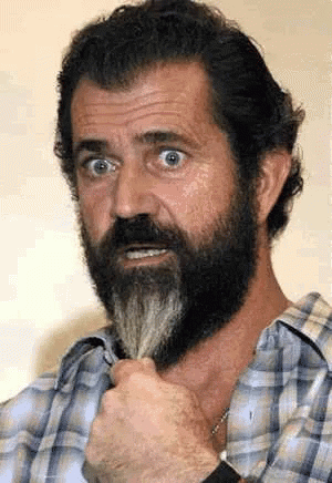 mel-gibson-deal-with-it.gif