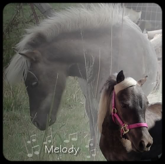 MELODY-1.jpg