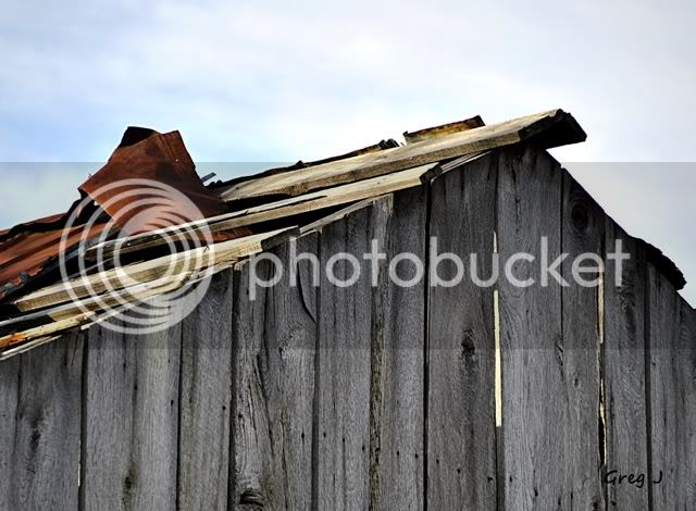 barnroof1-Copy.jpg