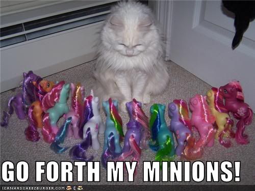 funny-pictures-cat-has-toy-pony-min.jpg