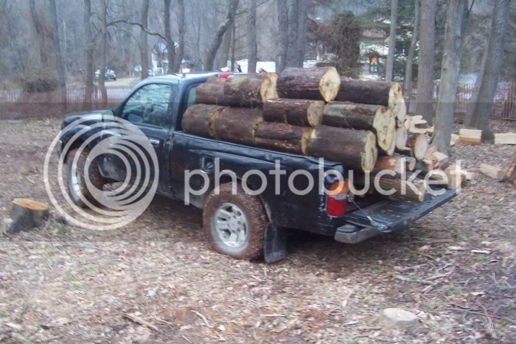 Woodpiles2162013002.jpg