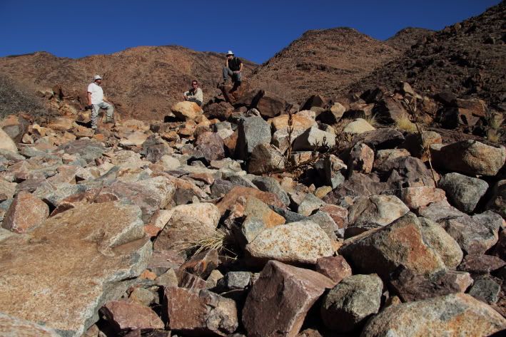 Richtersveld044.jpg