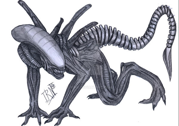 alien_crawling_by_irkis-d1quntv.jpg