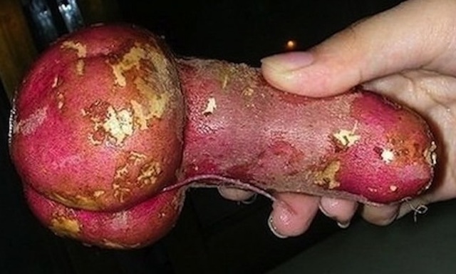 potato-penis-1.jpg