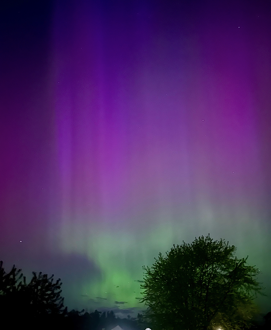 c-Roch-Auroras-1.jpg