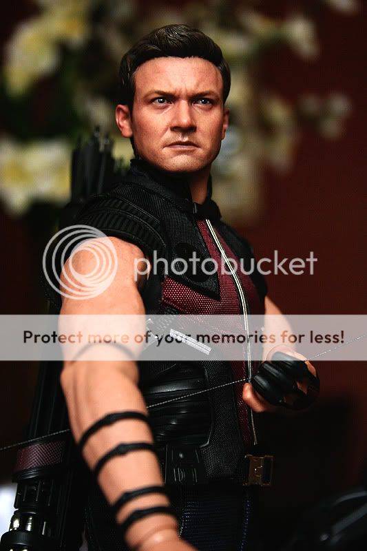 Hawkeye2.jpg