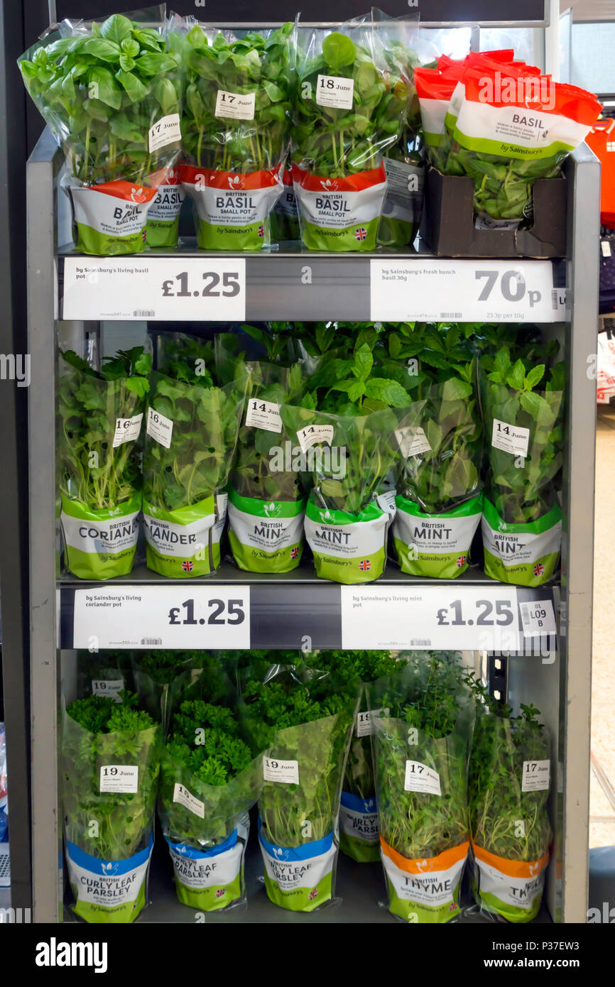 a-display-of-fresh-culinary-herds-growing-in-pots-for-sale-in-a-supermarket-in-england-uk-P37EW3.jpg
