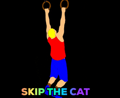 Cat Workout GIF