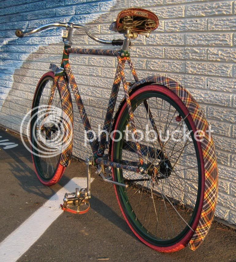 plaidbike.jpg