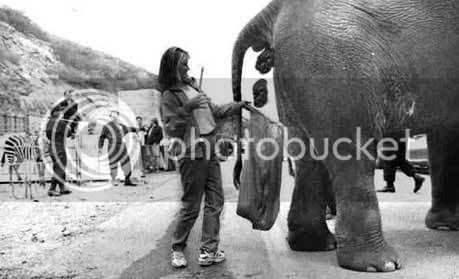 Elephantcustodian.jpg