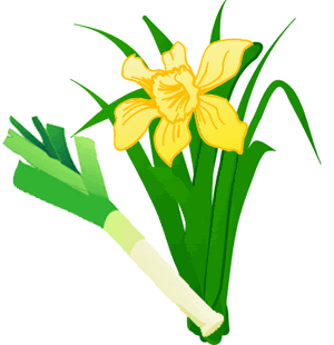 leek-daffodi-right.gif