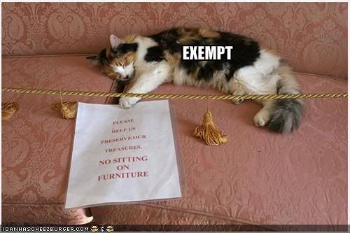 funny-pictures-cat-is-exempt-from-m.jpg