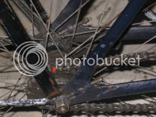 Bikes6022.jpg