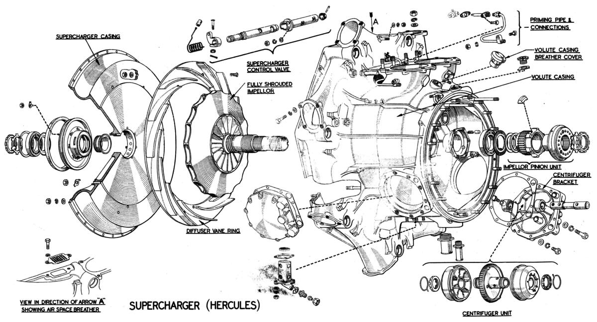 Fig10.jpg