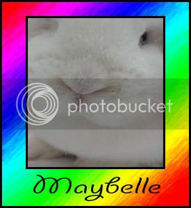 maybelle1.png