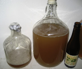Dupont%252520Foret%252520dregs%252520in%252520Traditional%252520Saison%252520wort.JPG