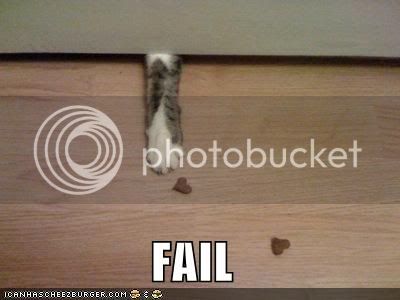 funny-pictures-fail-cat-paw.jpg