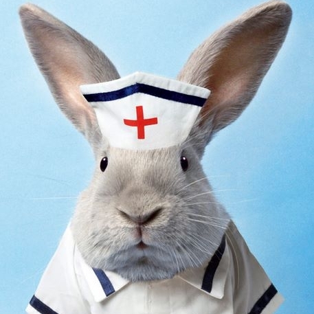 bunny_nurse.jpg