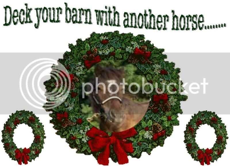 xmashorse1.jpg