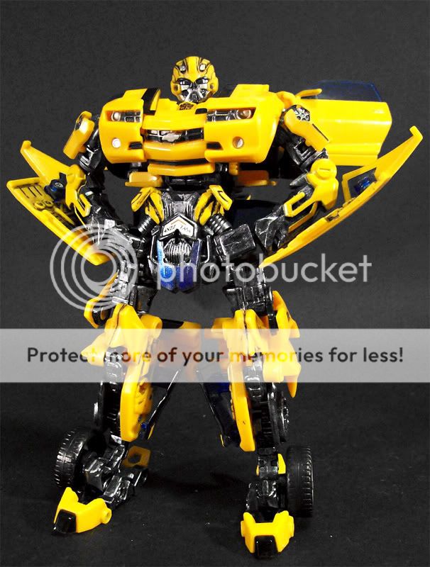 bumblebeepaint.jpg