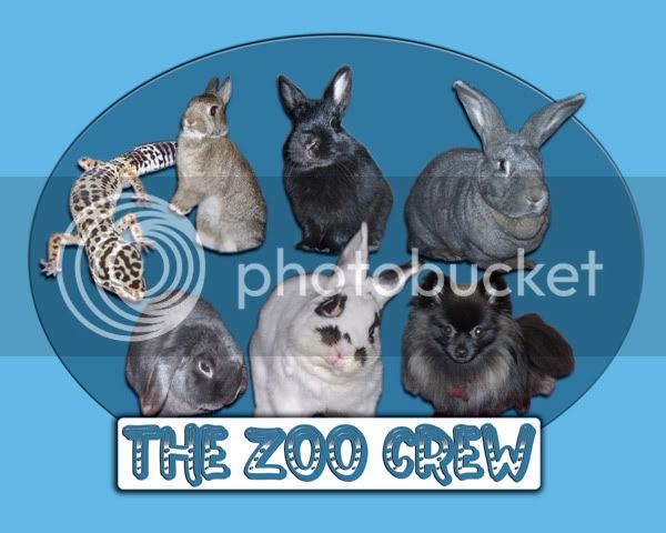 Zoo_Crew.jpg