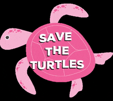 Sea Turtle Pink GIF by pinknproper