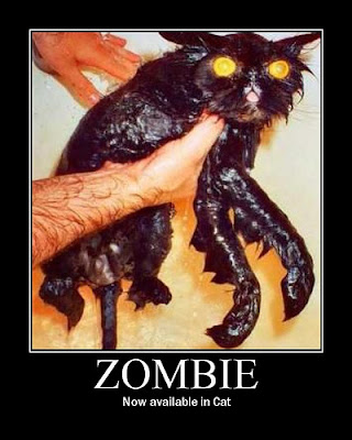 zombie-cat-12.jpg