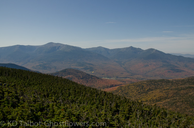 20111008-_DSC0083.jpg