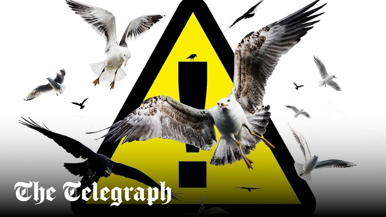 www.telegraph.co.uk