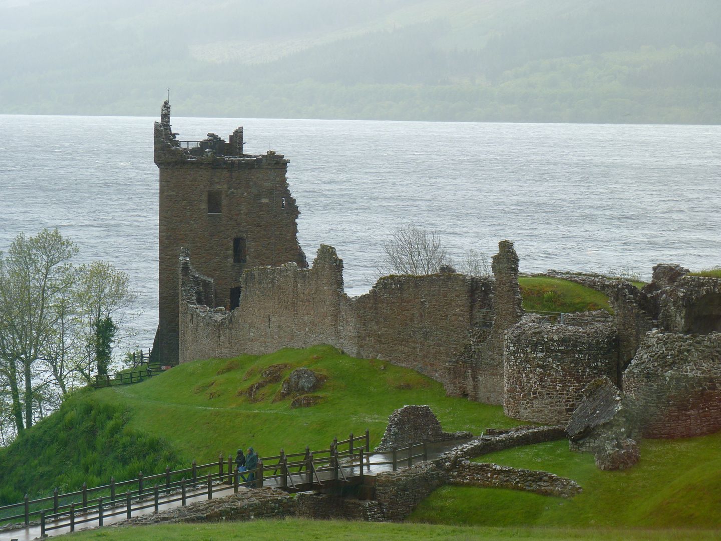 Scotland2011252.jpg