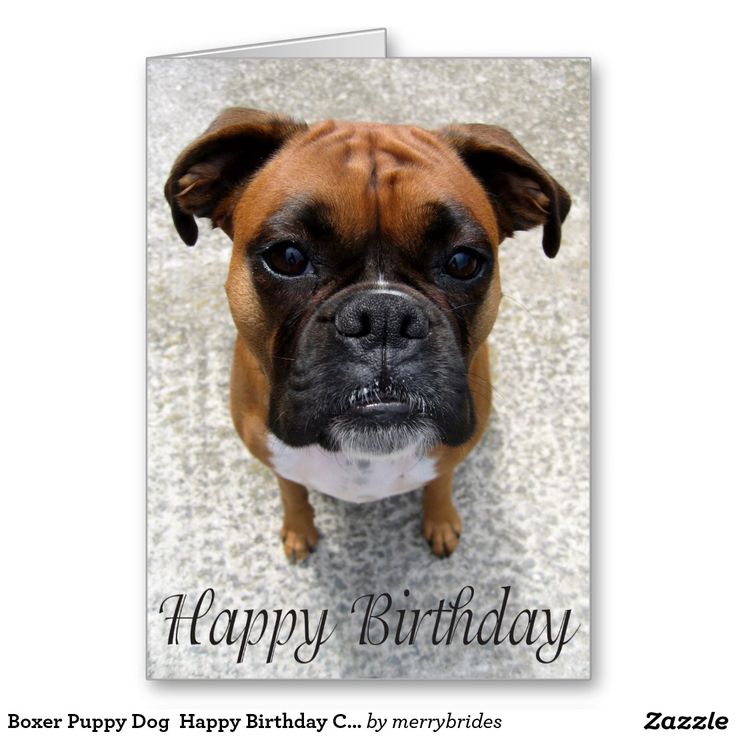 799755960f1454a411d017c2cfc57c8f--happy-birthday-cards-happy-birthdays.jpg