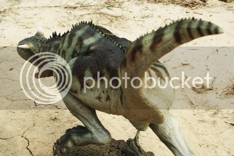 carno7.jpg