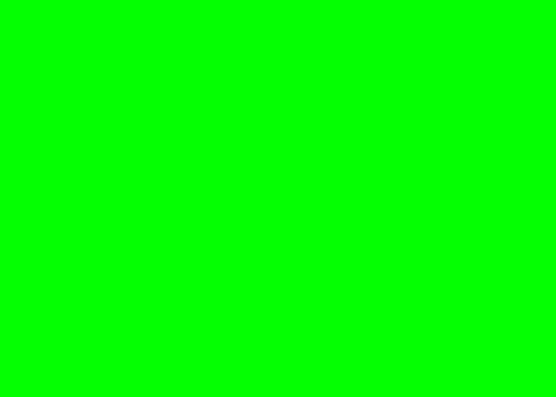 green-screen-picture.jpg