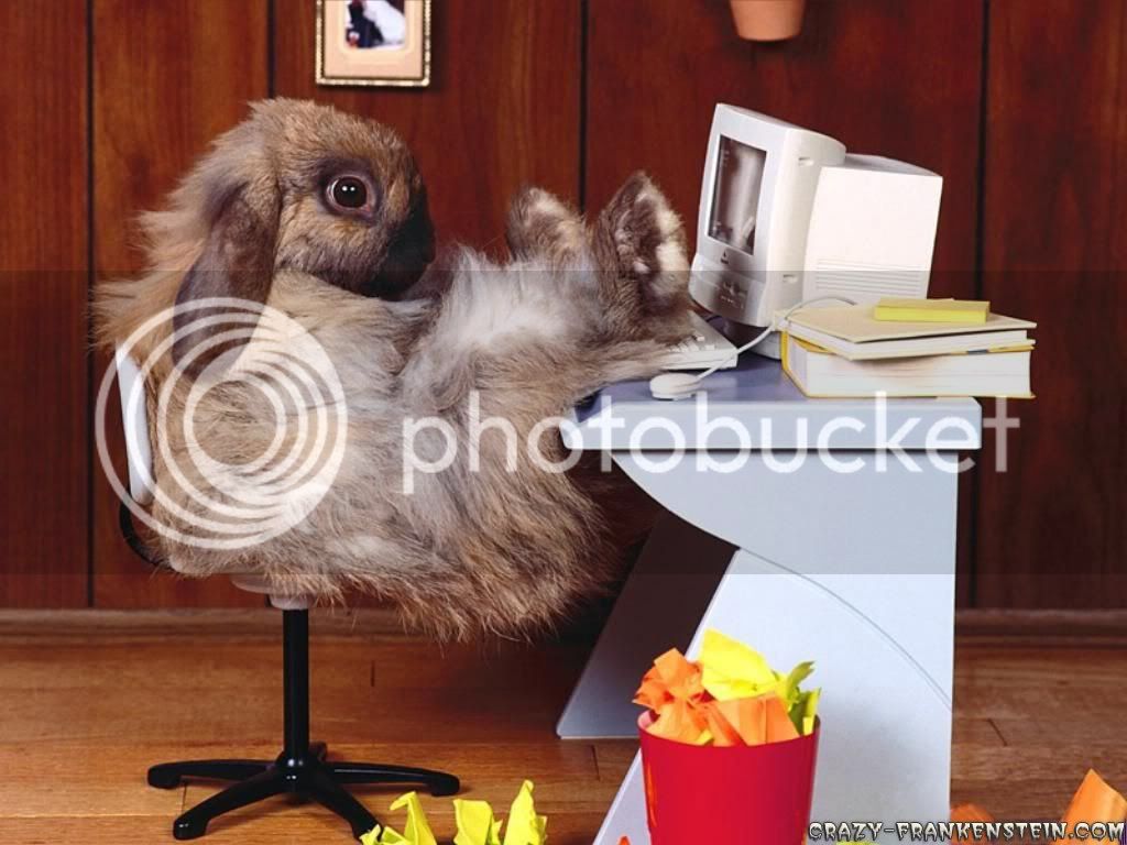funny-wallpapers-rabbit-at-work.jpg