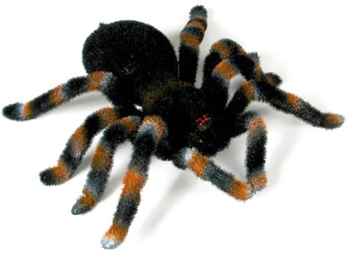 remote-control-tarantula.jpg