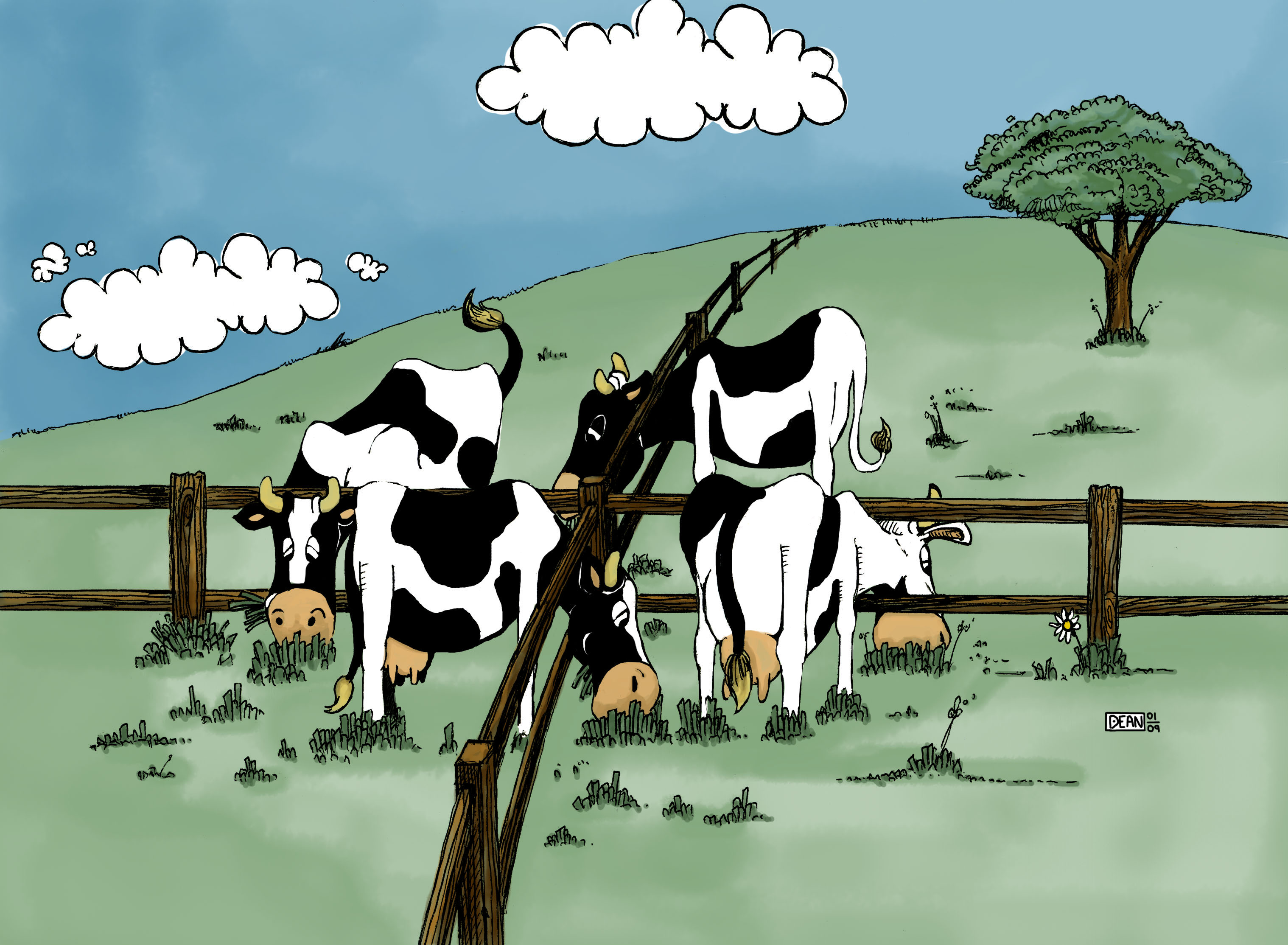 Cows_2.jpg
