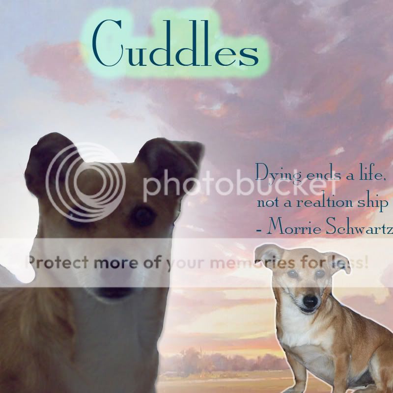 Cuddles.jpg