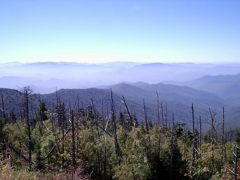 Highestpointinthesmokies.jpg