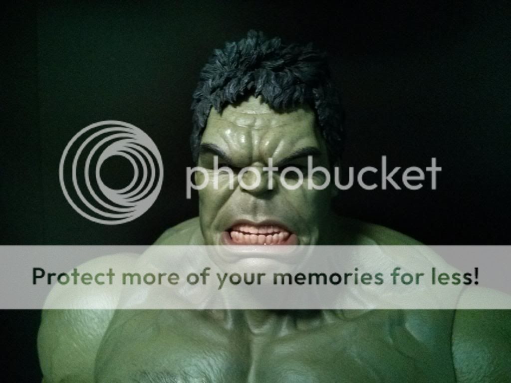 hulk002_zps5c1cc9a2.jpg