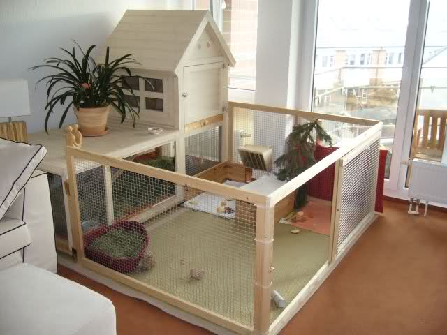 indoor-cage-with-playpen.jpg