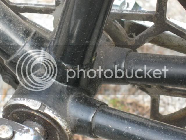 Bikes4119.jpg