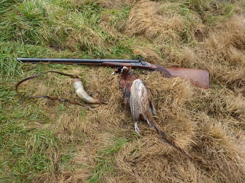 pheasants001.jpg