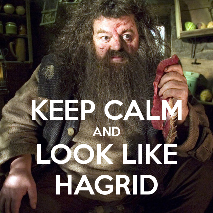 keep-calm-and-look-like-hagrid-2.png