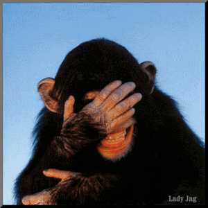 1329175713817-animated_laughing_chimp_zpsf73c264a.gif