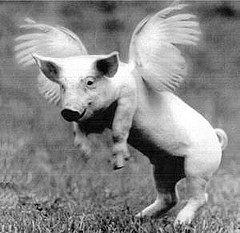 flying-pig-black-and-white1.jpg